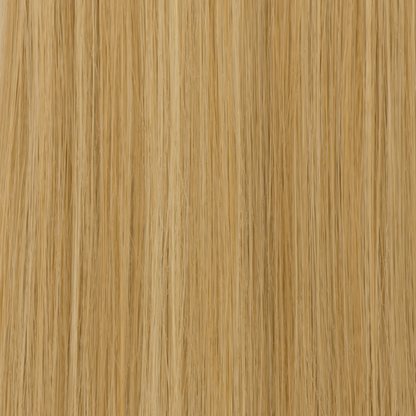Fringe Plus #1340